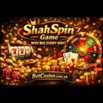 ShahSpin Game
