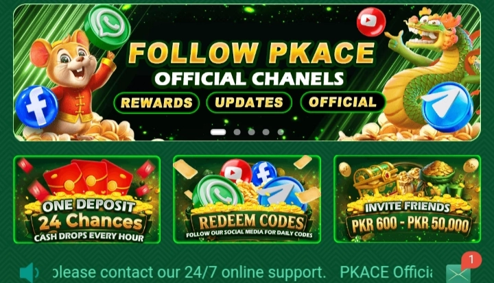 PAKACE Game